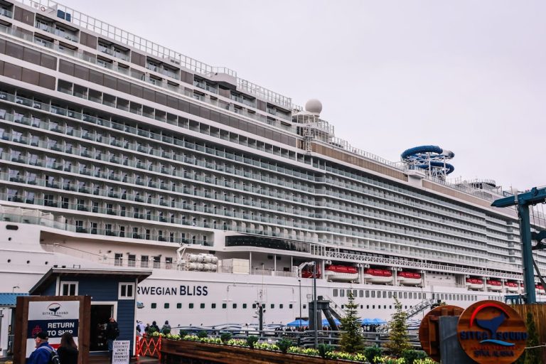 Navigating Your Way to the Perfect Cruise Adventure